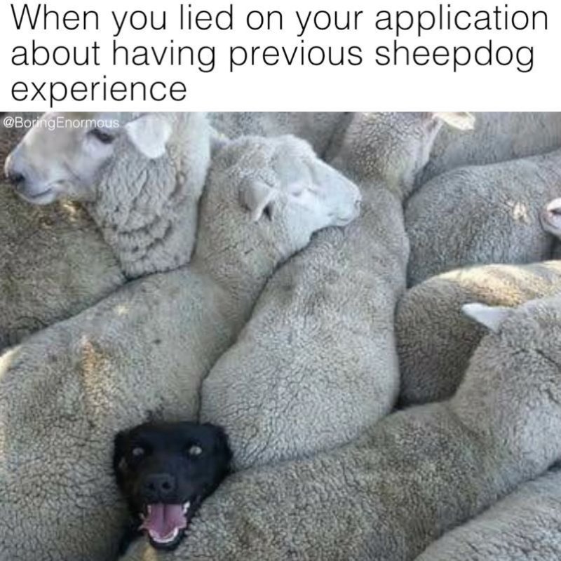 Круг от бараны