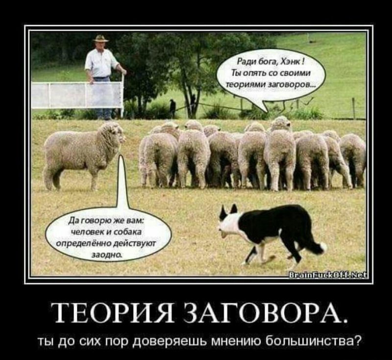 Теория заговора демотиваторы