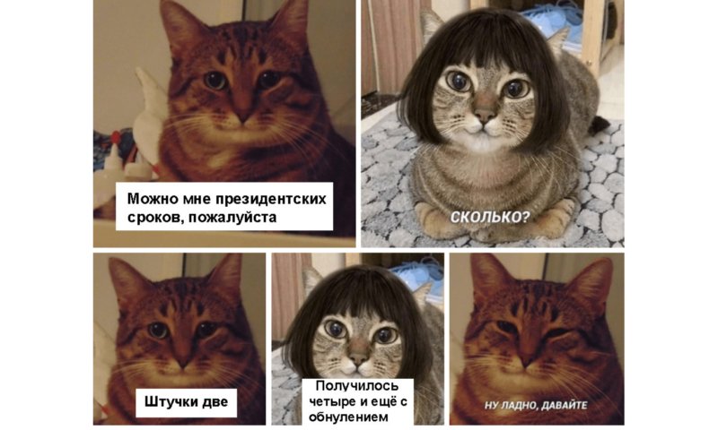 Мем кот давайте
