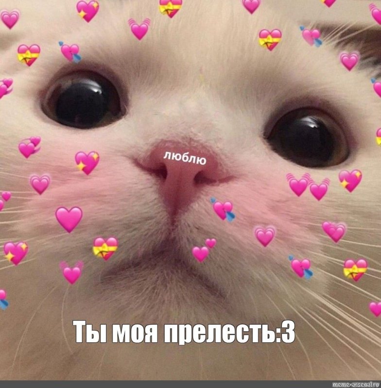 Милые котики с сердечками