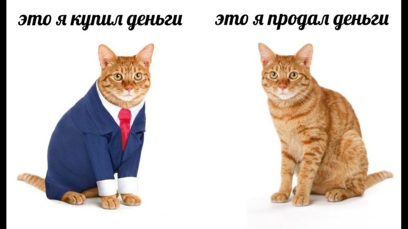 Покупайте деньги Мем кот