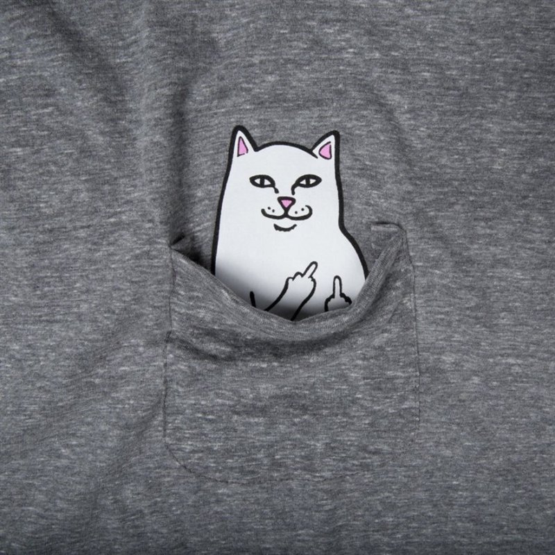 Кот Лорд Нермал