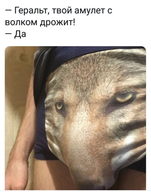 Трусы с мордой волка