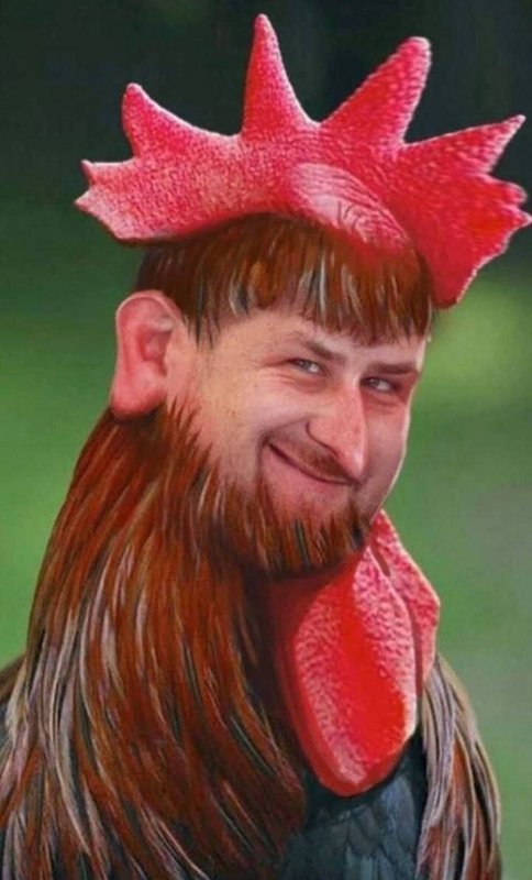 Человек петух