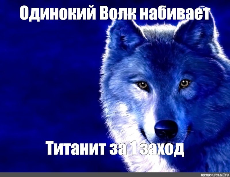 Волк на аву