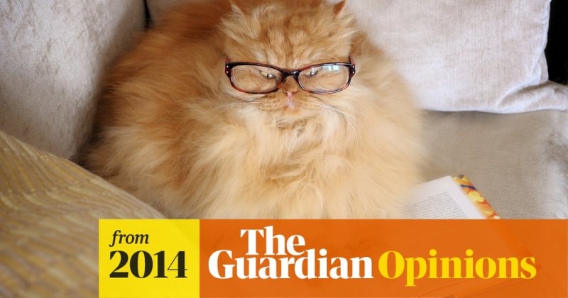 Жирный кот в очках