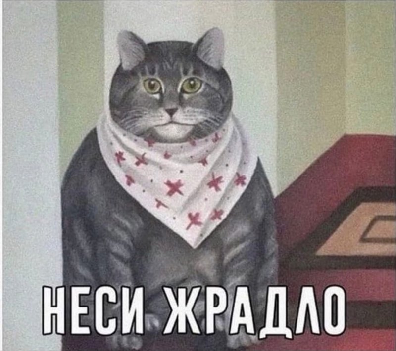 Неси жрадло кот