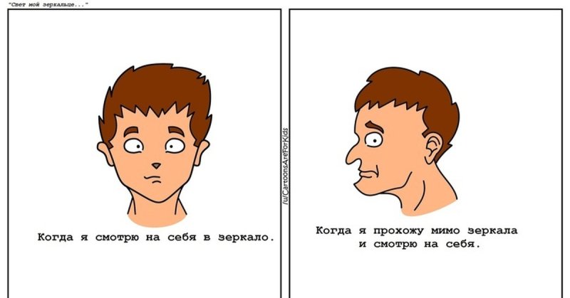 Отражение Мем