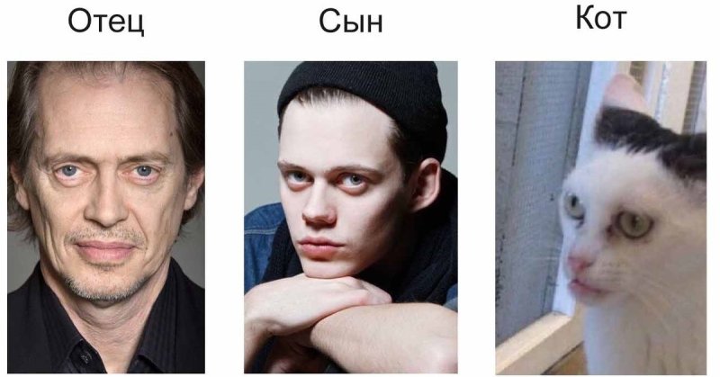 Стив Бушеми и Билл Скарсгард