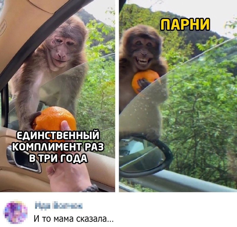 Мем обезьяна комплимент