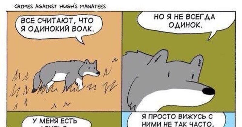 Трусы с волком прикол