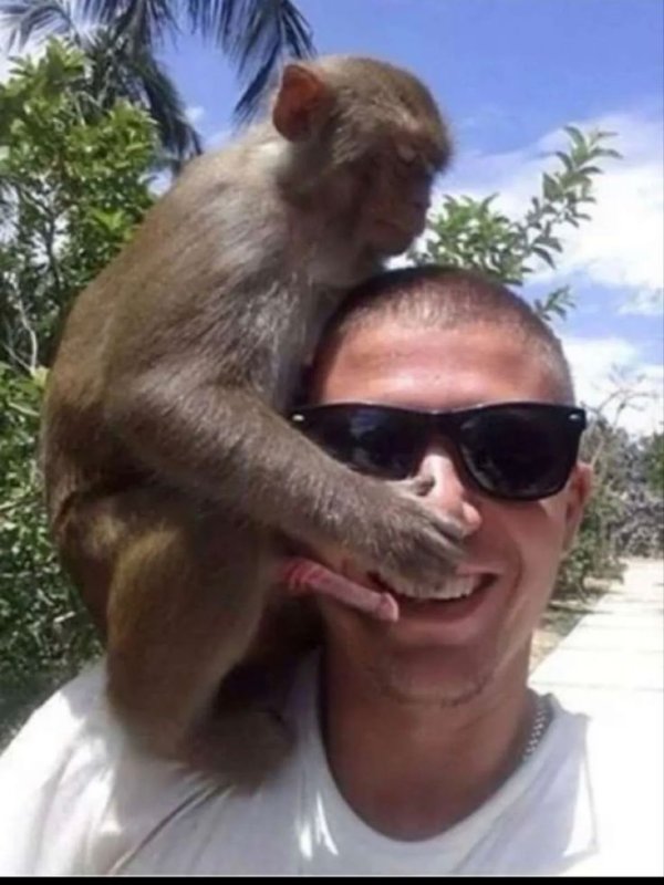 Мужик обезьяна