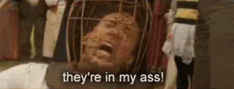 Только не пчелы Николас Кейдж