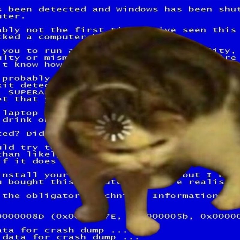 Кошка грузится