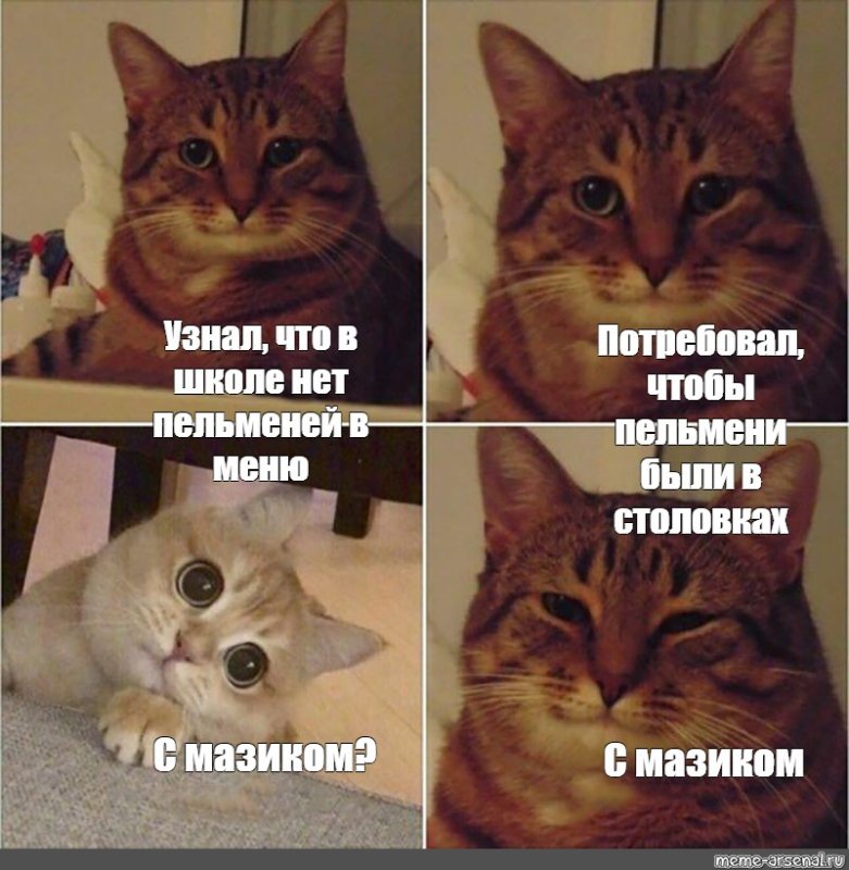 Мемы с довольными котами