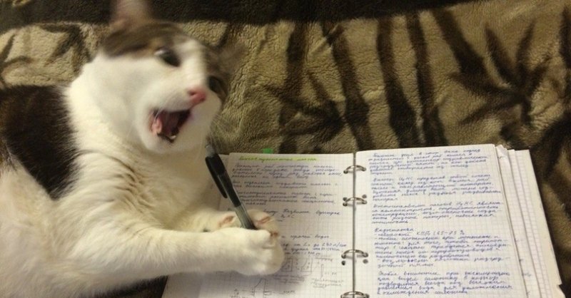 Кот с тетрадкой