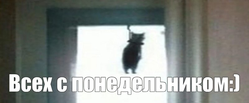 Повешенный котенок Мем