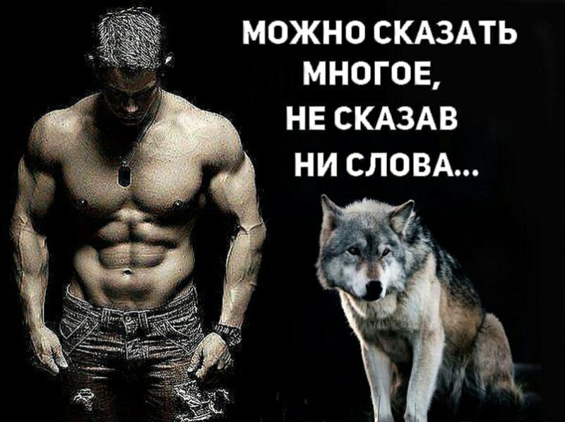 Одинокий волк мемы