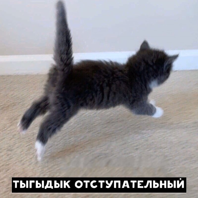 Тыгыдык тыгыдык