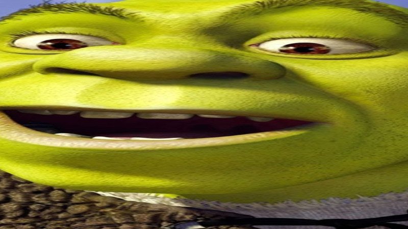 Шрек смешное лицо