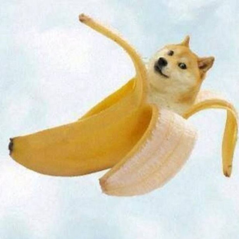 Собака с бананом