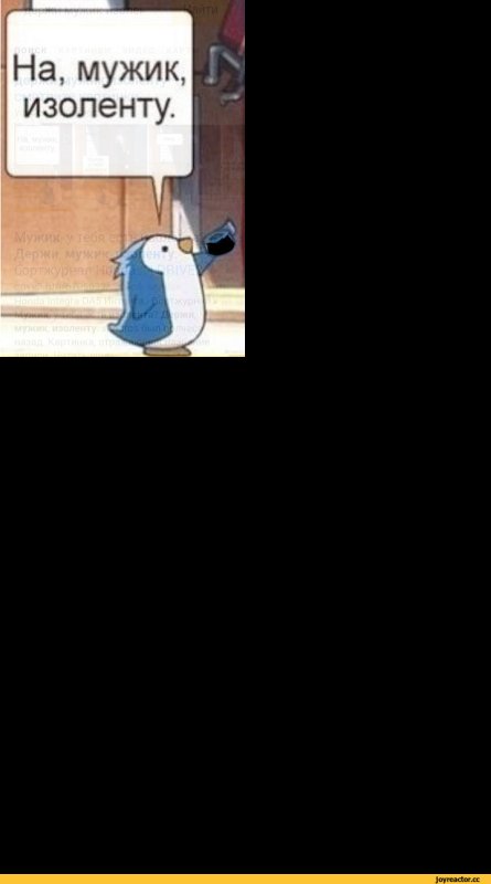 Мужик есть изолента Пингвин
