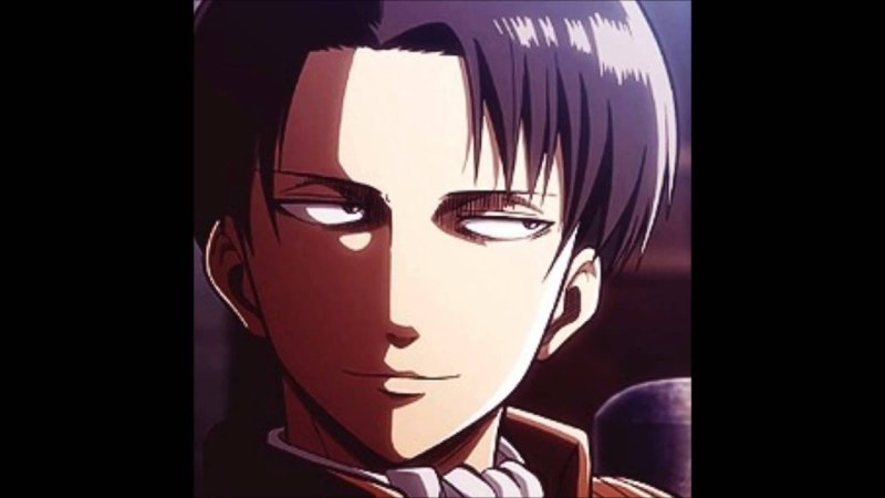 Капитан Леви