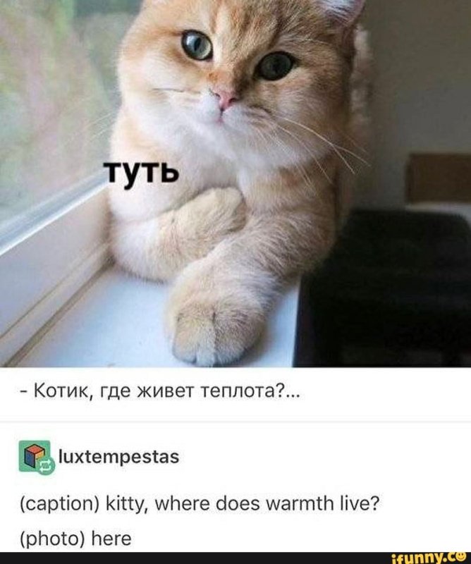 Туть Мем