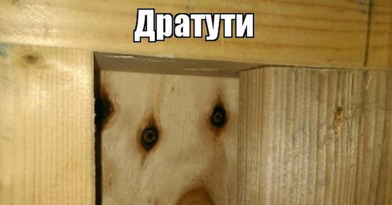 Дерево дратути