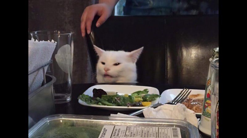 Мем с котом за столом