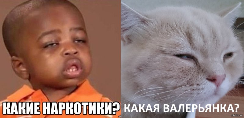 Упоротый негритенок Мем