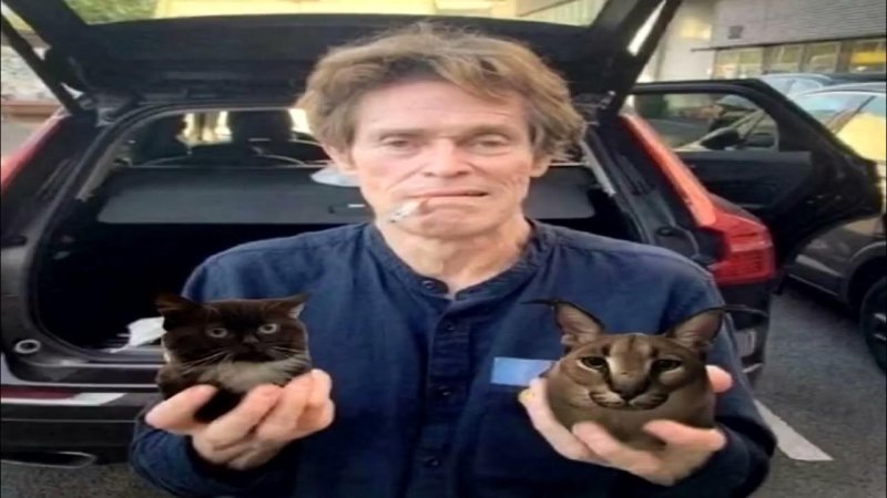 Чмоня Пупсич