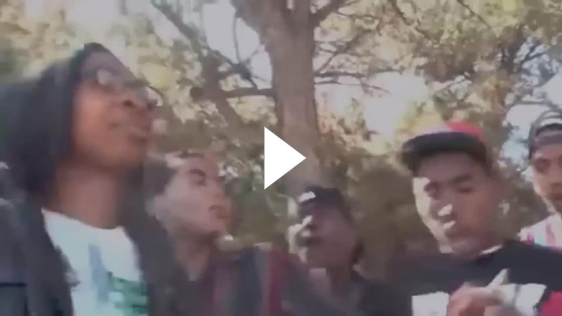 С толпой кричащих негров