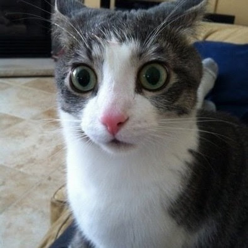 Да не ерунда какая то