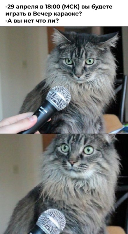 Кот и микрофон