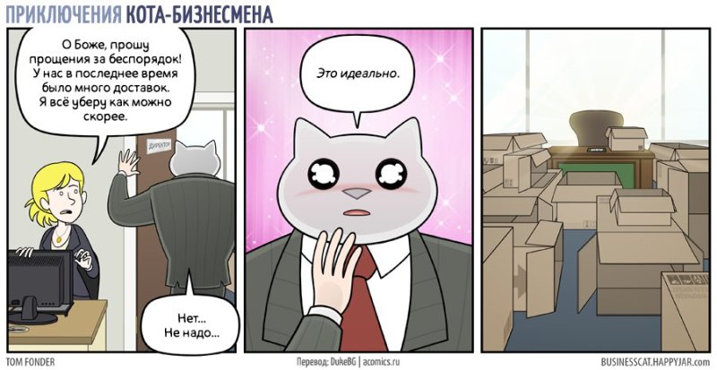 Кот предприниматель