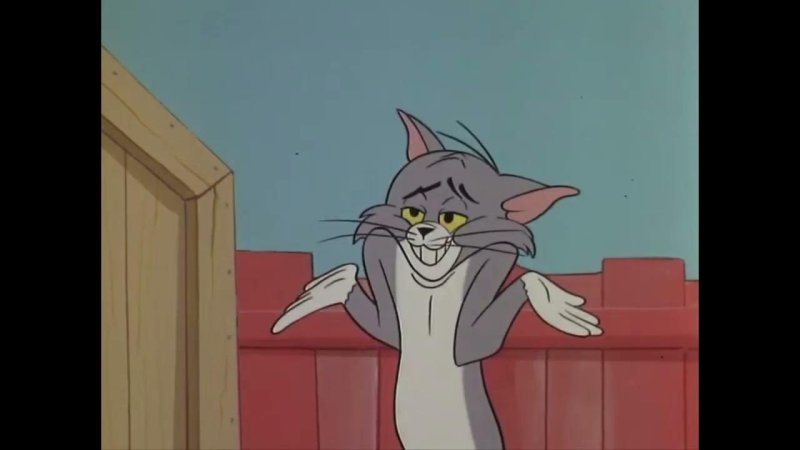 Кот том удивлен