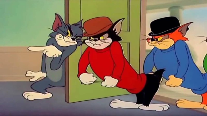 Том из том и Джерри