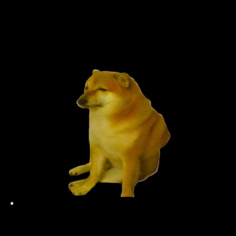 Сиба ину сидит Мем