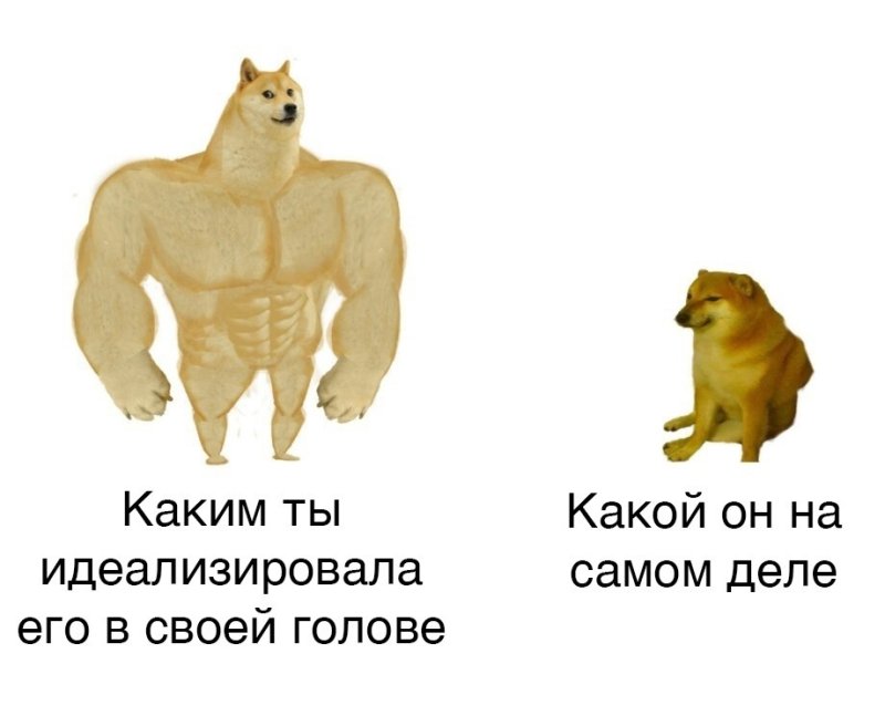Качки мемы