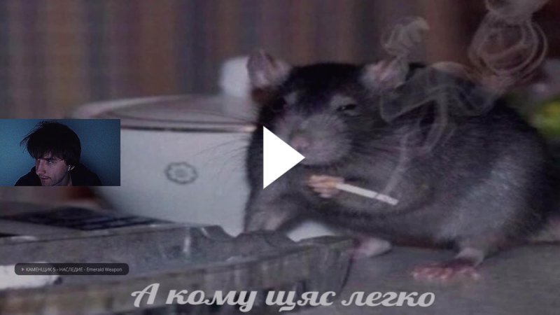 Крыса курит