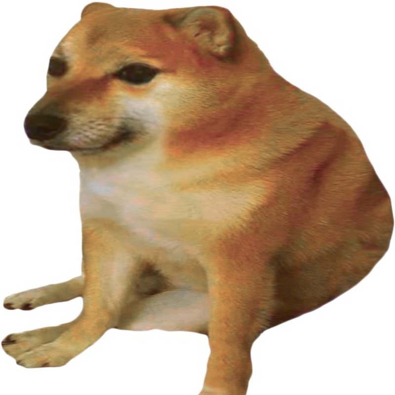 Шиба ину плачет