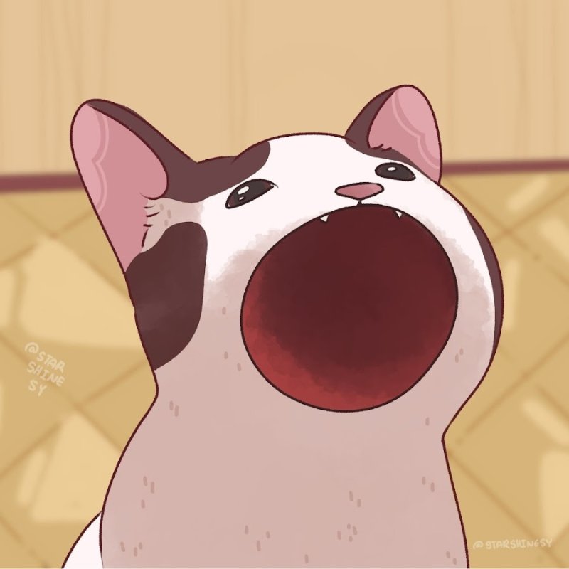 Кот из мема с открытым ртом