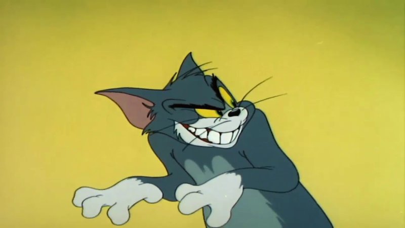 Кот из Тома и Джерри
