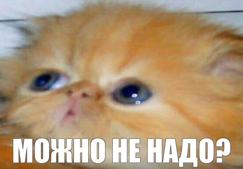 Можно не надо Мем