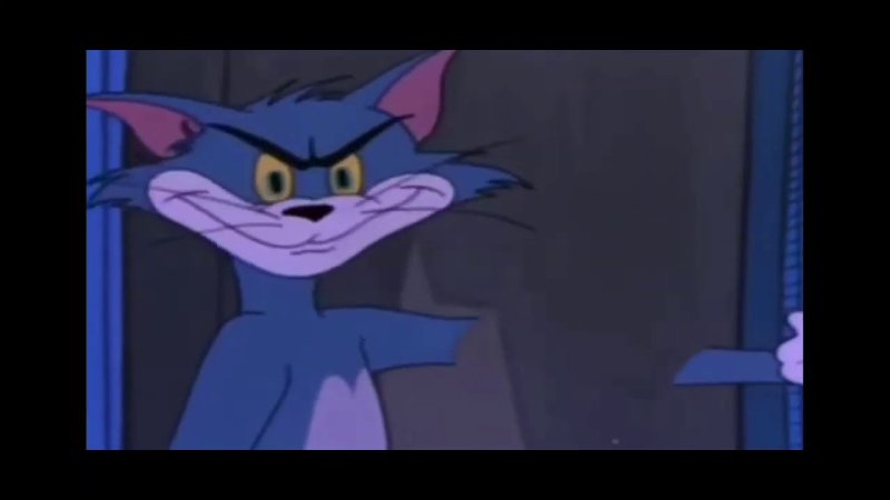 Кот из Тома и Джерри