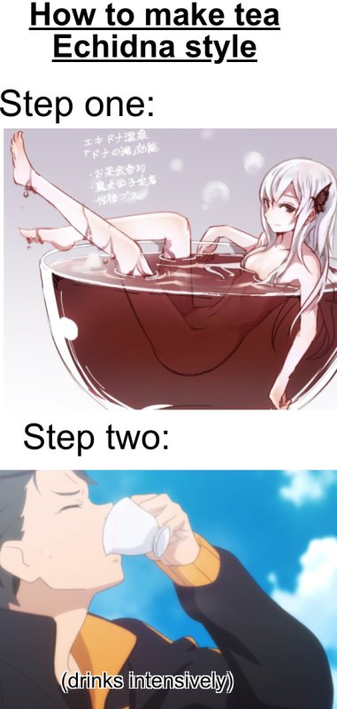 Re Zero чай ехидны