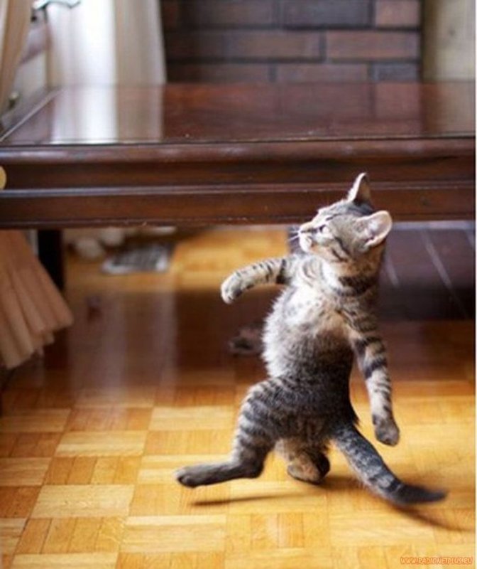 Ди Каприо идет