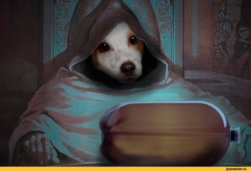 Собака и кега