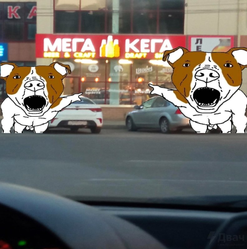 Собака и кега